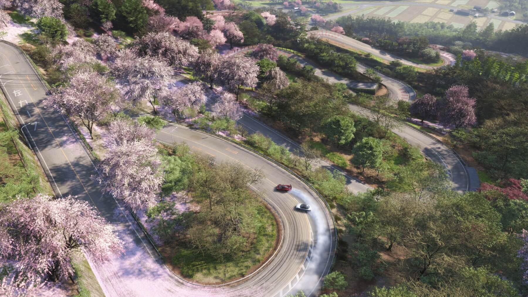 Forza Horizon 6 повороты